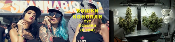 трава Армянск