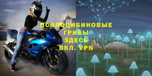 ешки Алзамай